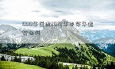 1998年属虎2022年本命年运势如何