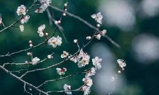 2020年腊月二十一是阳历几号?这天日子好不好?