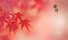 属虎的人霜降节气出生好不好命?属虎出生时辰命运如何?