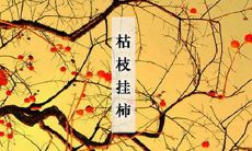 属鸡的人在2005年霜降出生日柱论命以及整体大运详解!