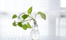 属羊的人2019年2月生肖运势