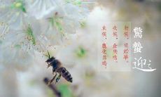 2020年3月5日惊蛰出生的女孩好听内涵的缺金名字