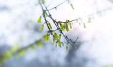 属虎的人2019年3月运势