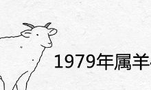 属羊1979年四十以后命到底是好命还是不好
