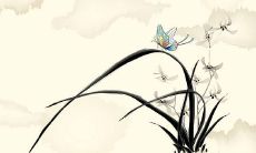 农历2019年一月十一出生的女孩起什么名字寓意好