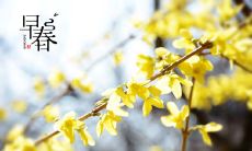 十二生肖2019年3月运势-谁能春风得意、繁花似锦?