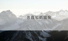 星座农历查询