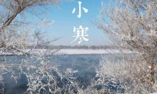 农历2019年小寒节气出生五行缺金女孩起名