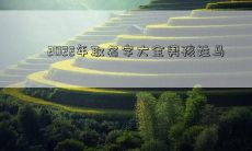 2022年取名字大全男孩姓马