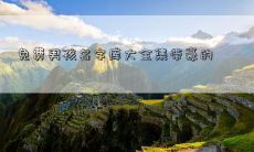 免费男孩名字库大全集带豪的