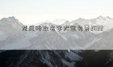 龙凤胎取名字大全免费2022
