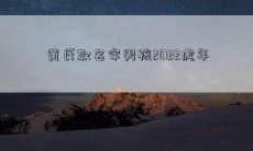 黄氏取名字男孩2022虎年