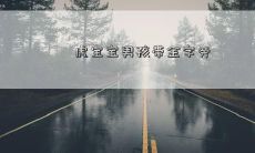 虎宝宝男孩带金字旁
