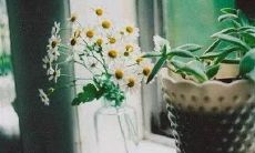 梦见试管打针是什么意思