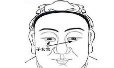面相看命运:面相子女宫看子女缘