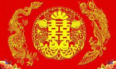 张扬大方期待万众瞩目的都是这些星座