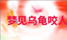 梦见乌龟咬人不好吧