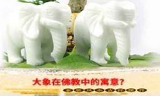 大象在佛教中的寓意