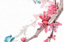 孩子出生取名字宝典