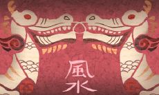 铁树有旺宅的作用吗 铁树放在哪里风水优秀
