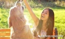 八字看配偶工作