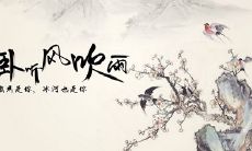 2019年重阳节不宜开业吗,重阳节又叫什么节?