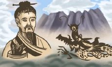 为什么说有美人尖命苦 有何说法