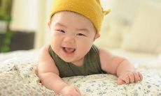 属牛的2020年可以生鼠宝宝吗