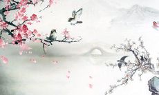 属猴的女人几月出生命优秀