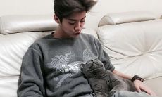 养猫的风水注意事项