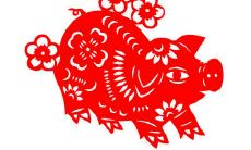 2017年属猪的几月出生优秀
