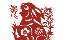 2017年属兔的几月出生优秀