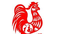 2017年属鸡的人几月出生优秀