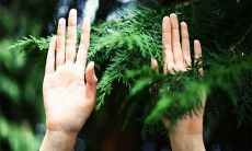 详解感情线位置形态手相知识大全