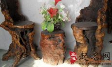 枣木如何保养