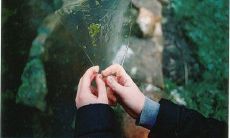揭秘不可不知的指纹攻略全解