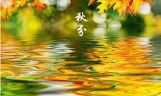 2019年八月廿四秋分前一天安床吉利吗,安床风水有何宜忌?