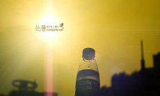 处暑节气应该要注意什么?处暑饮食注意事项