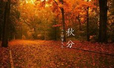 2019年秋分前一天八月二十四日子好吗,适合签约吗?