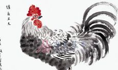 81年的鸡是什么命 81年的鸡和什么属相最配