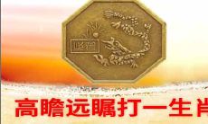 高瞻远瞩打一生肖揭谜底