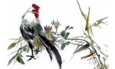属鸡的2019年哪几月桃花大旺