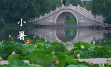 2019年小暑天气热吗 小暑吃黄鳝有什么好处?