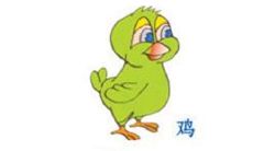 寅时出生的属鸡人命运如何
