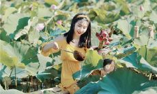 左亮出手相助