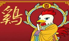 属鸡2020年佩戴和摆放什么饰品好