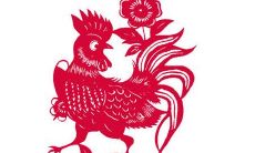 属鸡2019年下半年运势