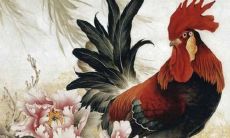 什么时候出生的属鸡的是凤凰命,3月5月10月12月