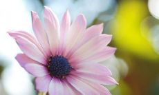 《相学分类释疑》节选分享大全