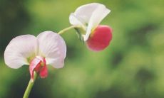 《许负相法》之节选十四篇讲解